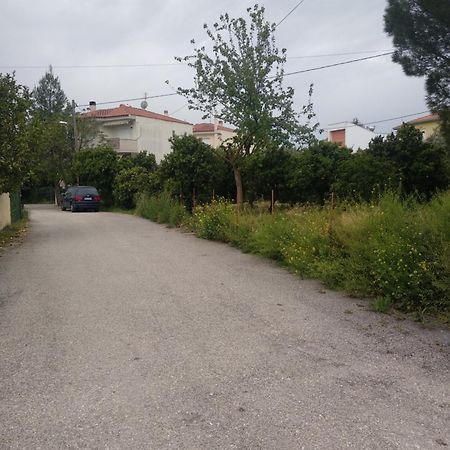 Amelia'S House Apartment Nafplio Exterior photo