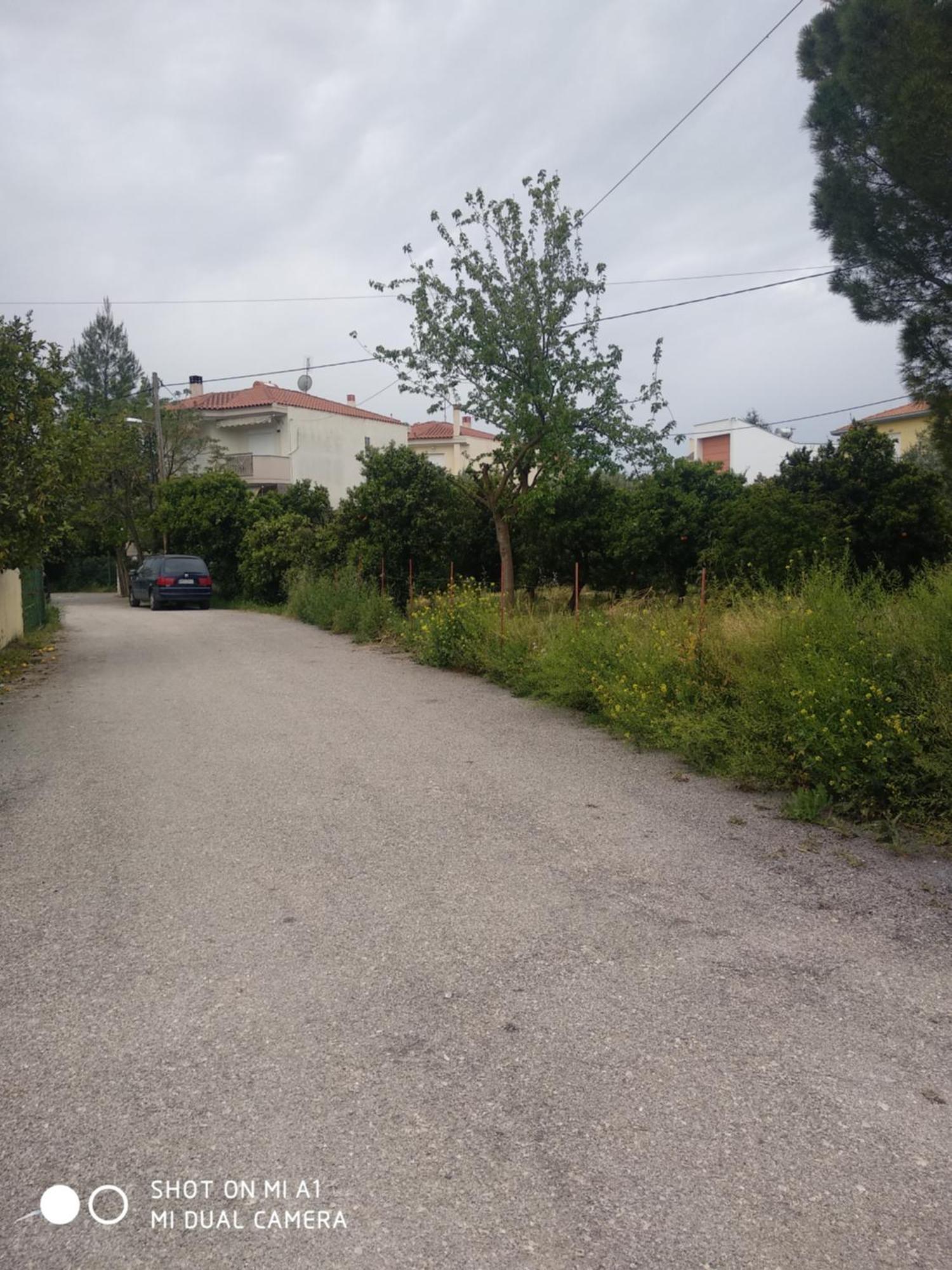 Amelia'S House Apartment Nafplio Exterior photo